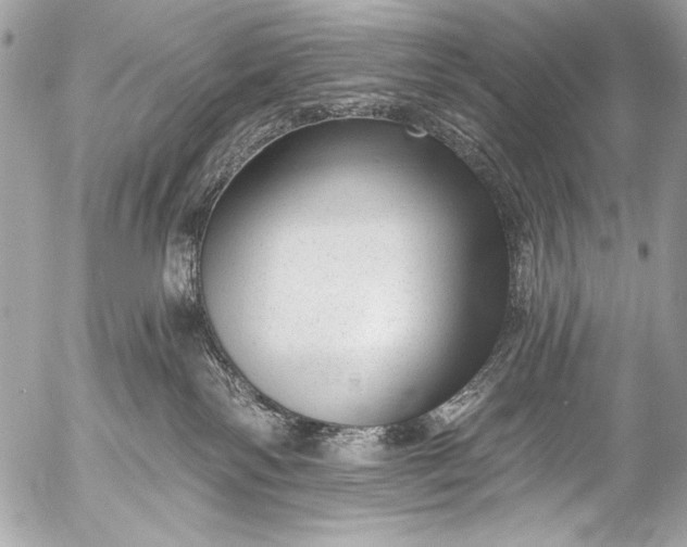 X0000053060138200507251458