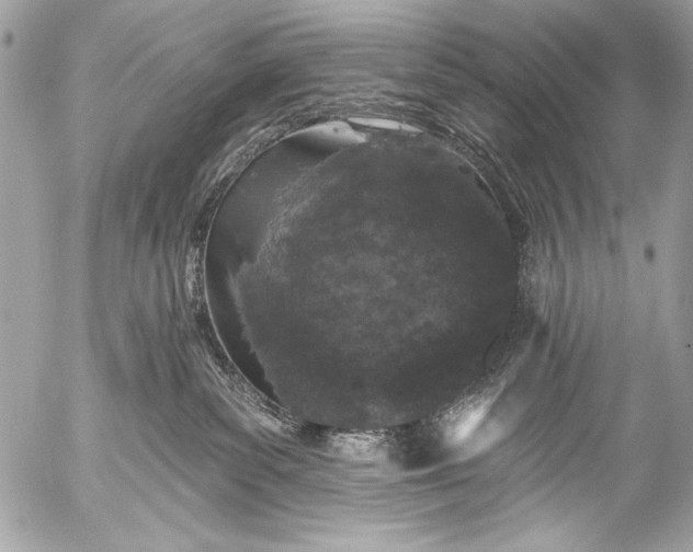 X0000053060139200507251458