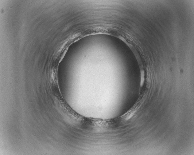 X0000053060141200507251458