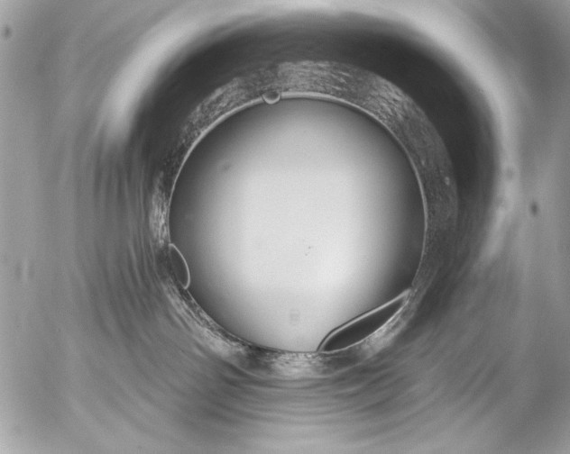 X0000053060142200507251458