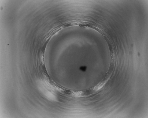 X0000053060143200507251458