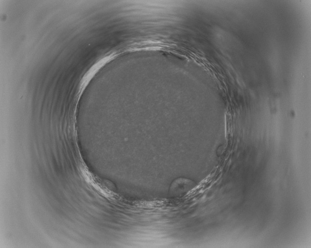 X0000053060147200507251457