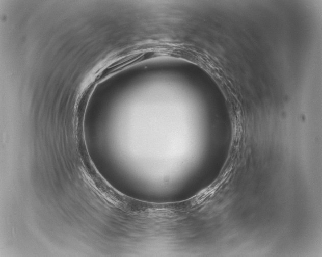 X0000053060150200507251457