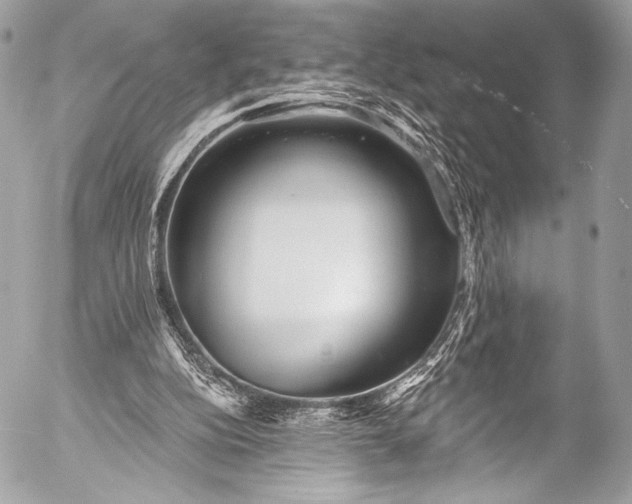 X0000053060152200507251457