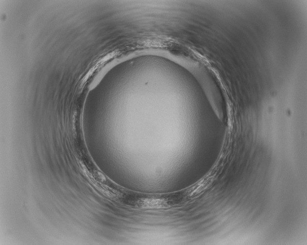 X0000053060154200507251457