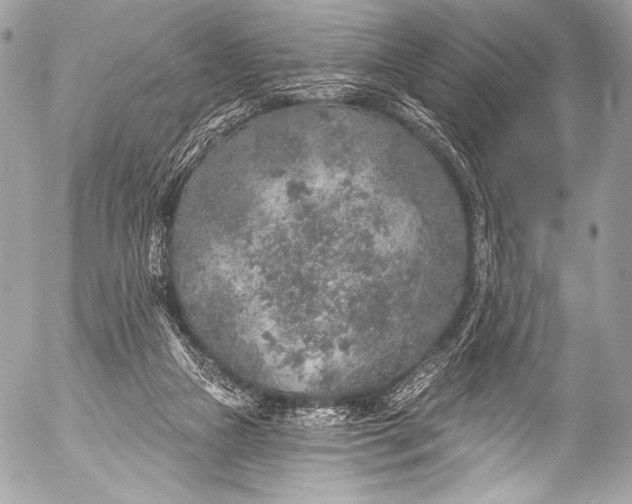 X0000053060161200507251457