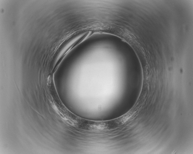 X0000053060164200507251458