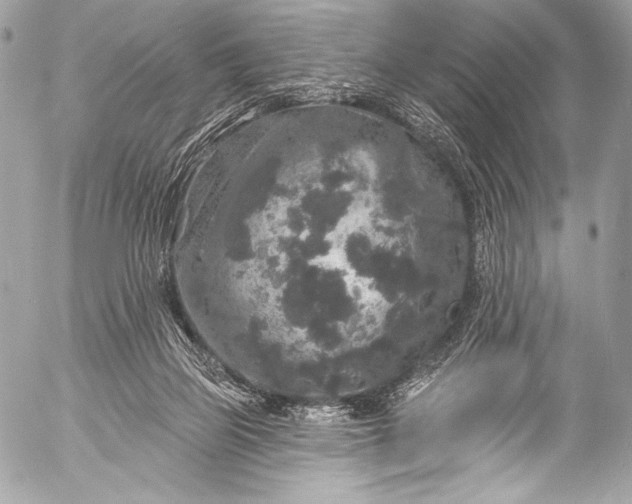 X0000053060165200507251458