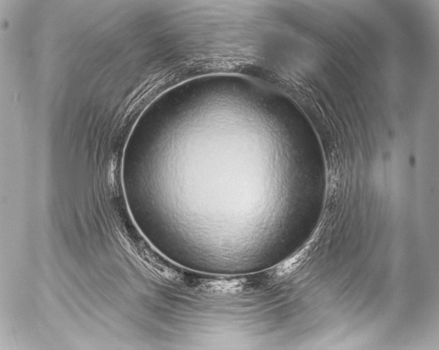 X0000053060166200507251458