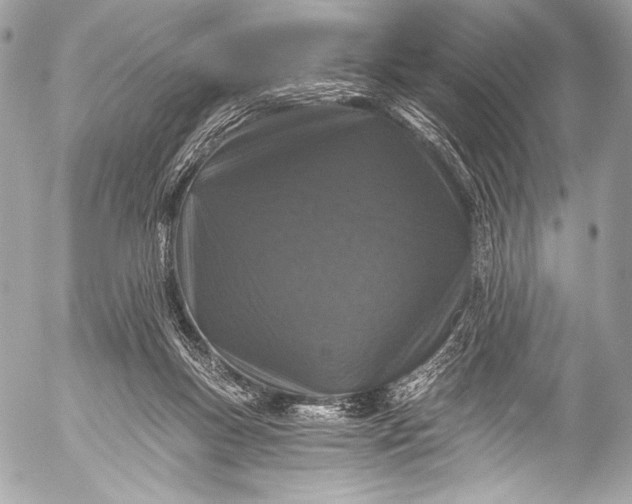 X0000053060167200507251458