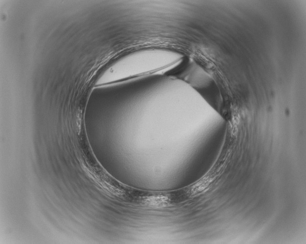 X0000053060168200507251458