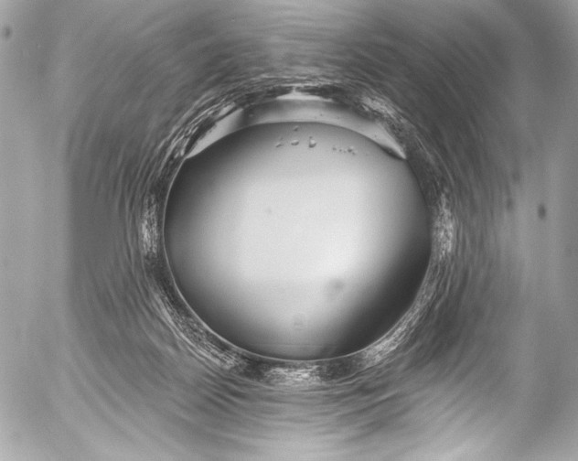 X0000053060170200507251458