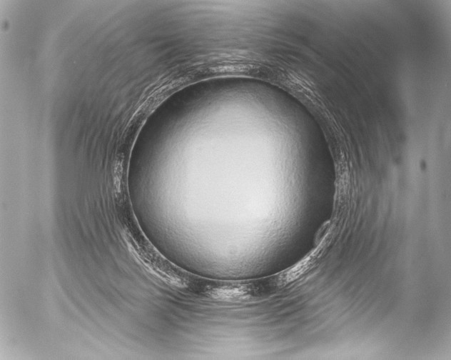 X0000053060171200507251458