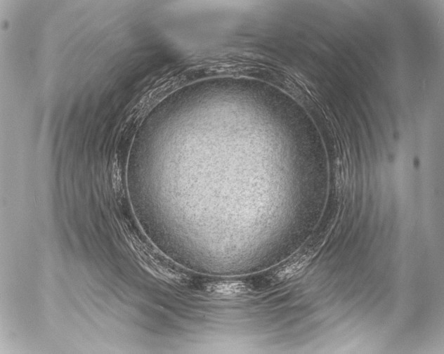 X0000053060173200507251458