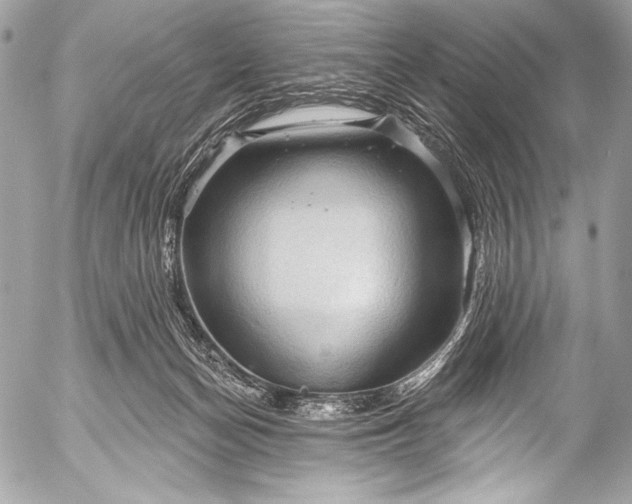 X0000053060174200507251458