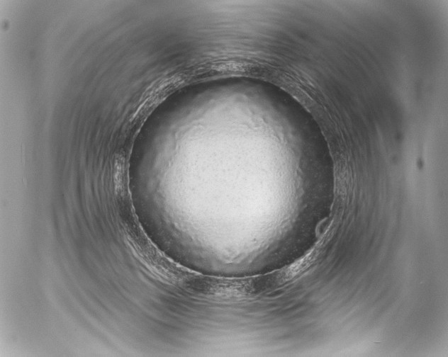 X0000053060175200507251458