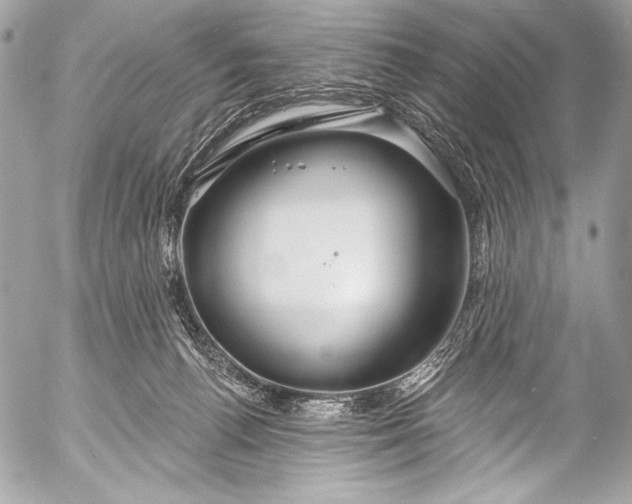 X0000053060176200507251458