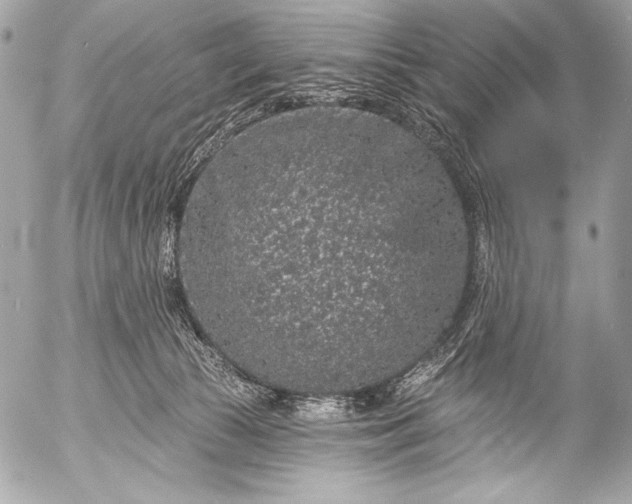 X0000053060177200507251458