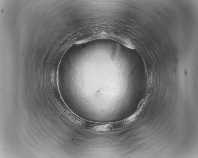 X0000053060178200507251458