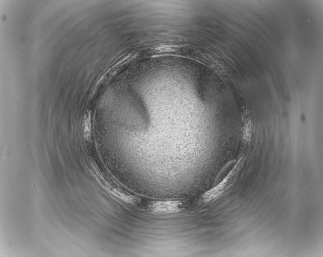 X0000053060179200507251458