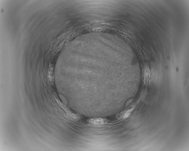 X0000053060181200507251458