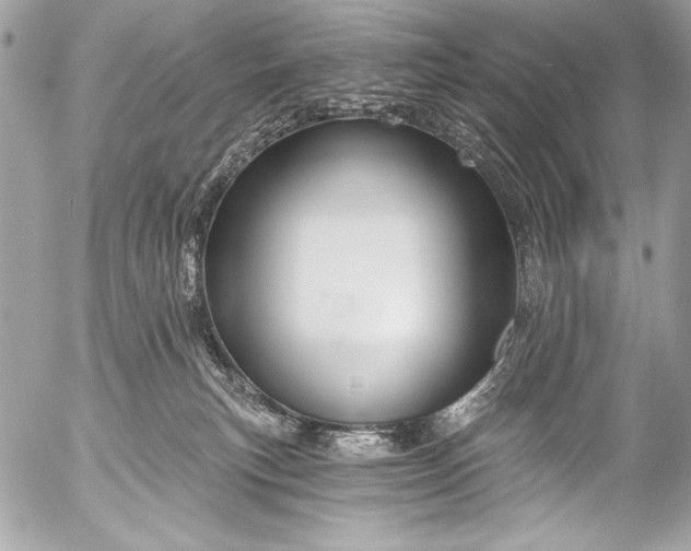 X0000053060183200507251458