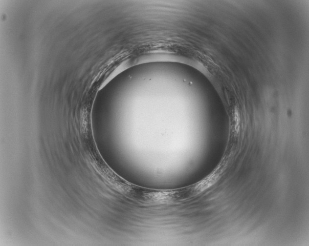 X0000053060184200507251458