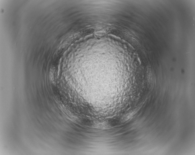 X0000053060185200507251458