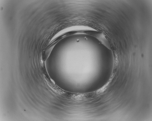 X0000053060186200507251458