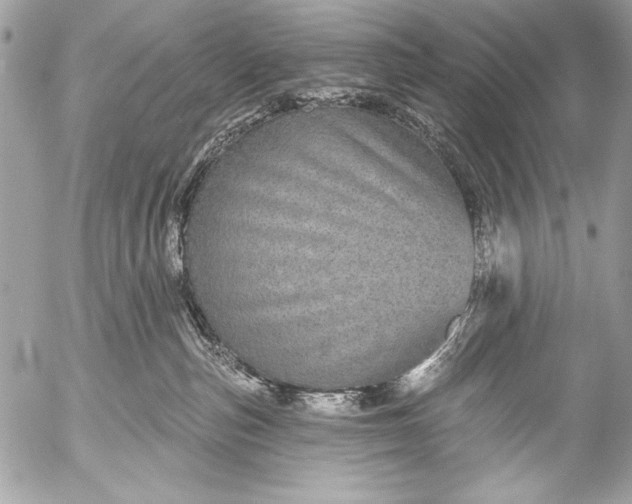 X0000053060187200507251458