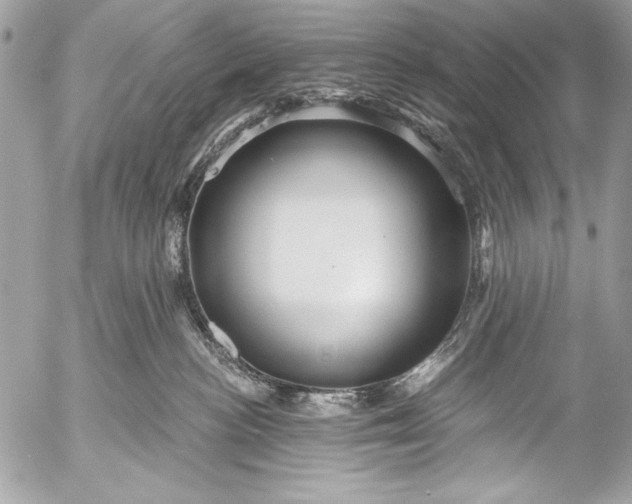 X0000053060188200507251458