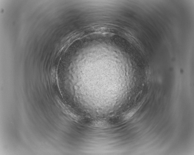 X0000053060189200507251458