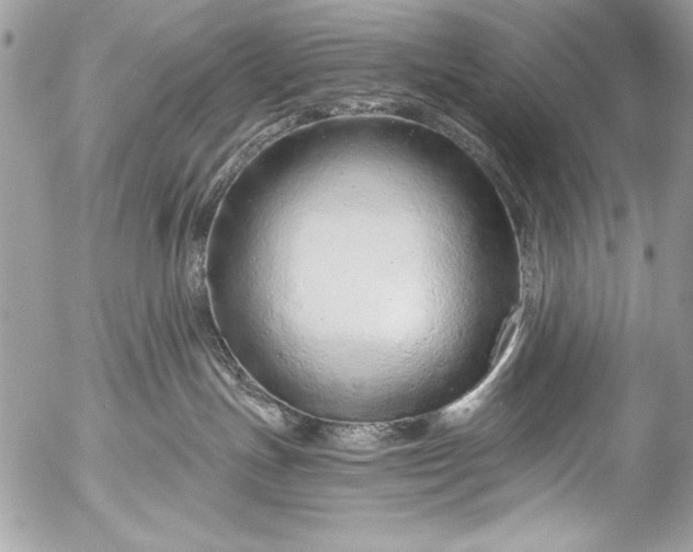 X0000053060191200507251458