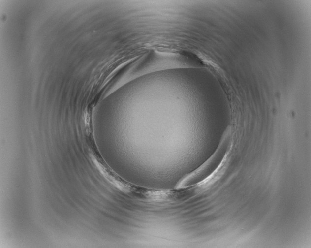 X0000053060192200507251458