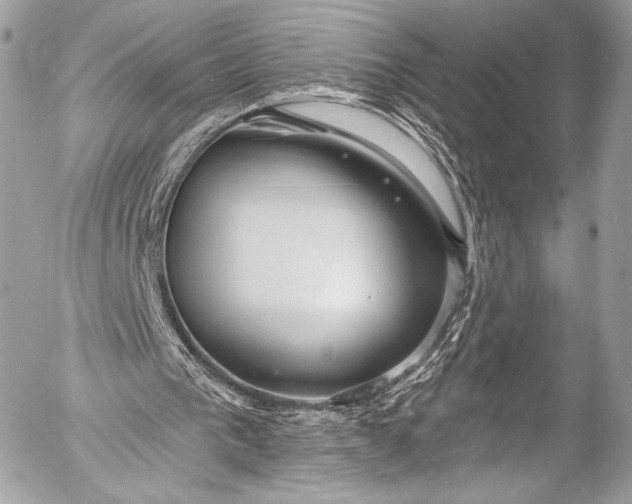 X0000053060193200507251457