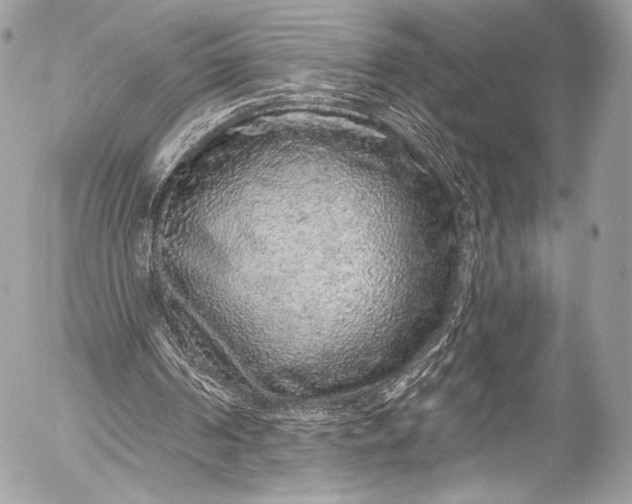 X0000053060194200507251457