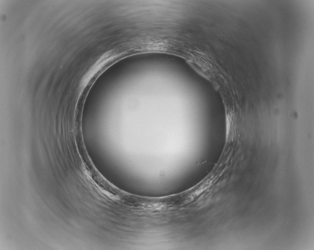X0000053060195200507251457