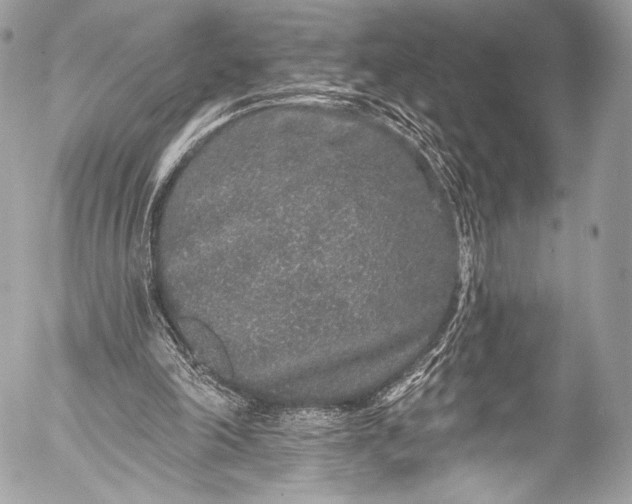 X0000053060198200507251457