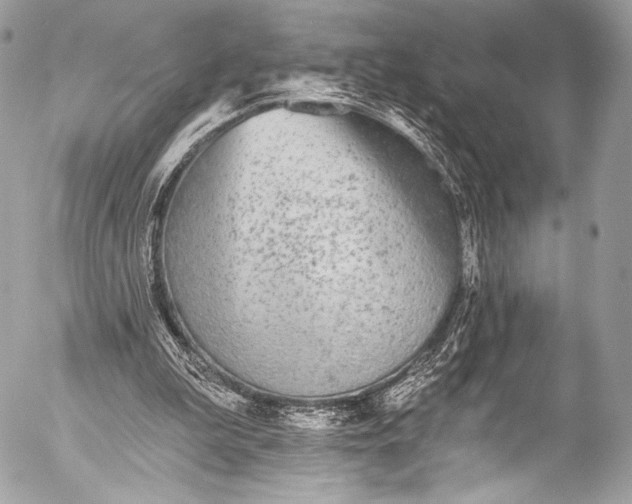 X0000053060199200507251457