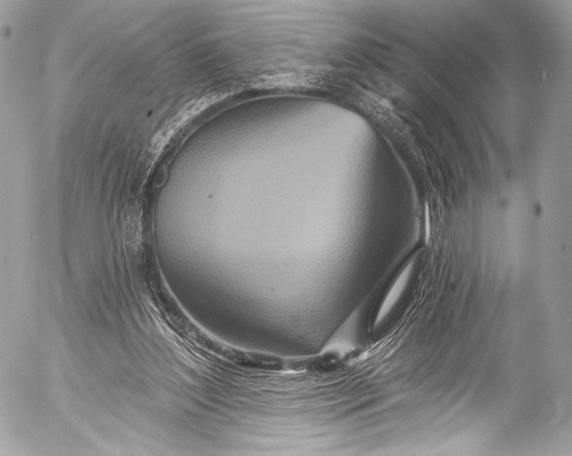 X0000053060204200507251457