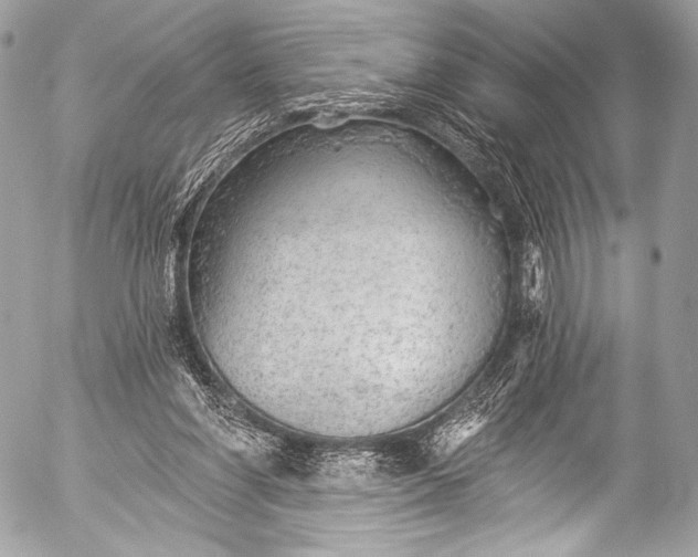 X0000053060206200507251457