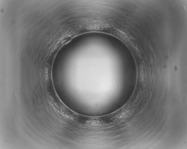 X0000053060211200507251457