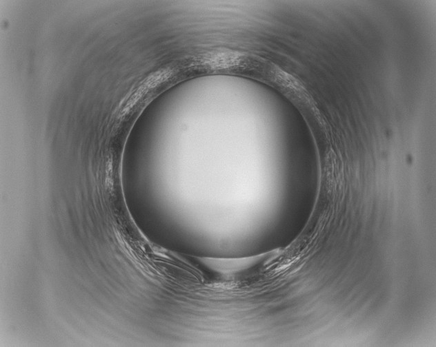 X0000053060212200507251457