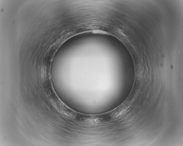 X0000053060213200507251457