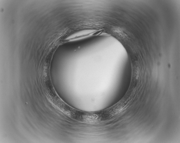 X0000053060215200507251457