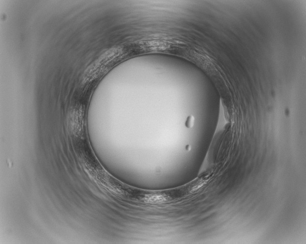 X0000053060218200507251457