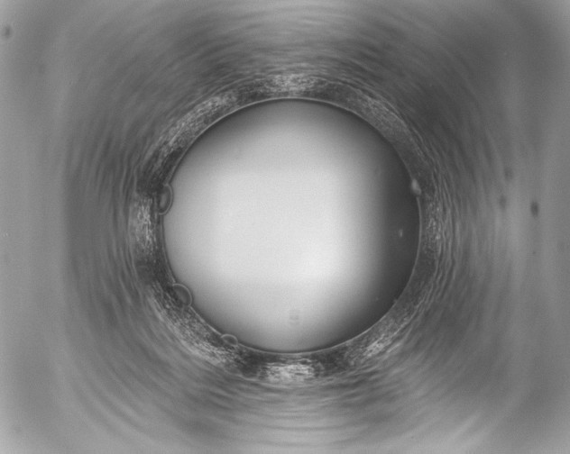 X0000053060220200507251457