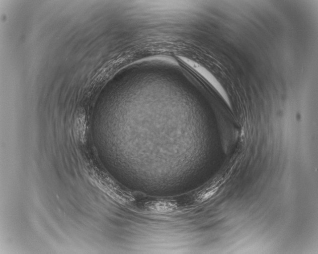 X0000053060223200507251457