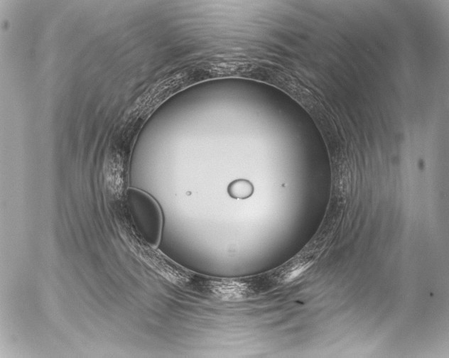 X0000053060226200507251457