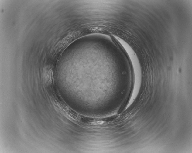 X0000053060227200507251457